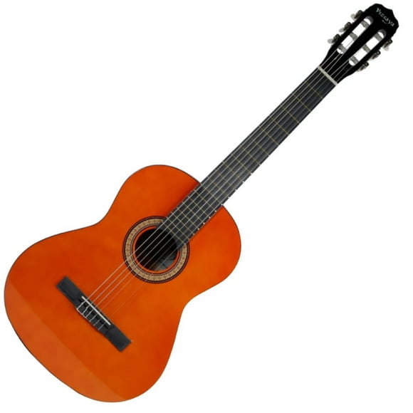 Guitarra Acustica Vizcaya ARCG 44 NT