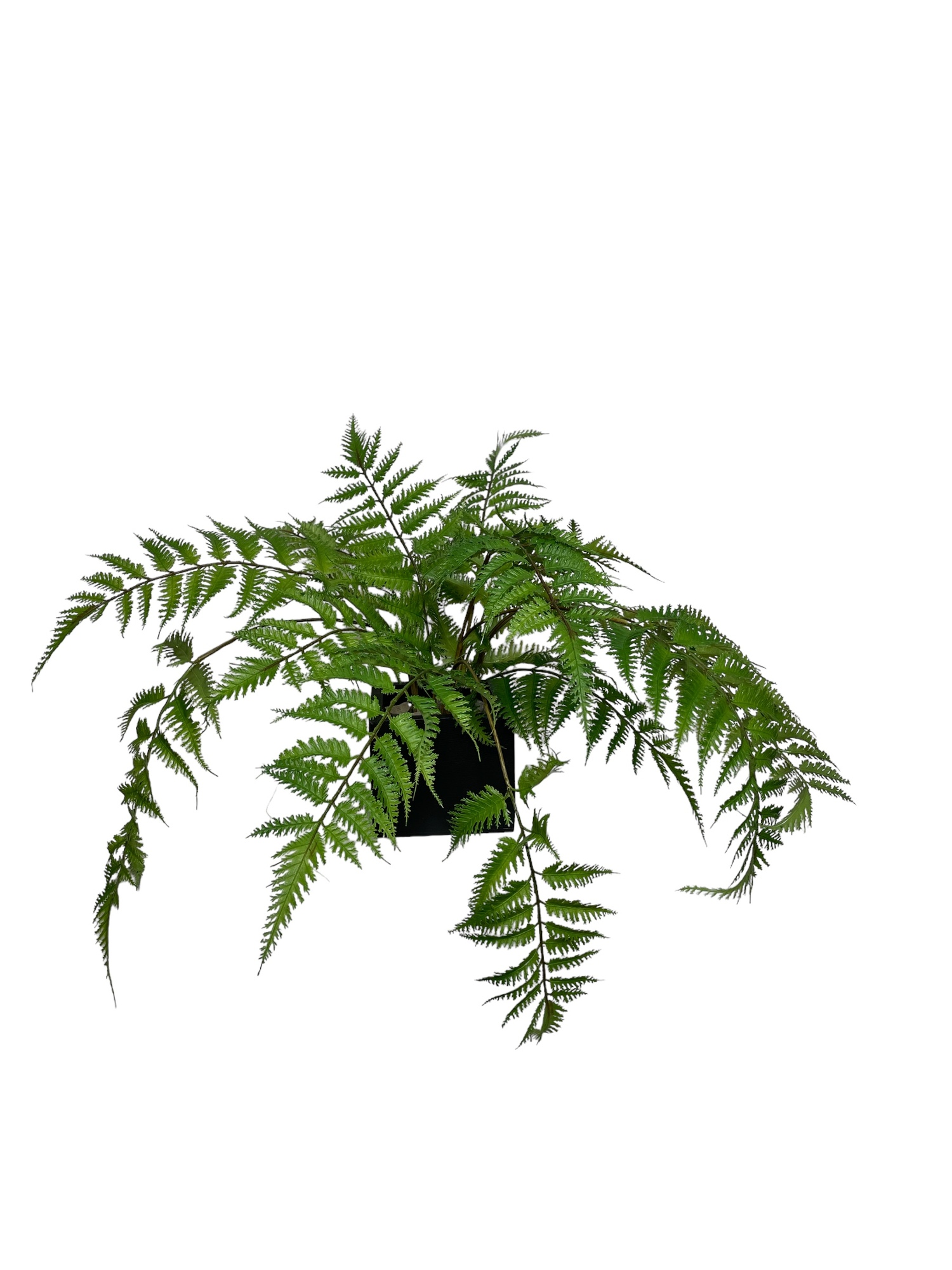 Corel - Arreglo De Helecho Pluma 55Cm Con Acabado Natural Artificial