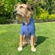 thumbnail image 3 of Chaleco para Perro color Azul talla L, 3 of 6