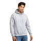 thumbnail image 1 of Sudadera con capucha Hanes EcoSmart para hombre Ash, talla L, 1 of 6