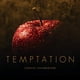 thumbnail image 1 of CD Evosound Temptation Chantal Chamberland, 1 of 1