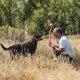 thumbnail image 3 of Lanzador de pelotas para perros Chuckit! Sport 26 L con pelota grande para 27 kg, 3 of 7