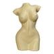 thumbnail image 1 of Florero De Cuerpo Femenino Maceta De Resina Estatuas De Mujer Adorno De Escritorio Decoración Amarillo 19x15x30.5cm, 1 of 5