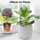 thumbnail image 4 of Piedras decorativas Virekm River Rocks para decoración de jardines, 4 of 8
