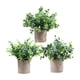 thumbnail image 1 of 3 Piezas De Pequeñas Plantas Falsas En Maceta Para Estante, Sala De Estar, Baño, Estilo E, 1 of 5