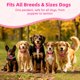 thumbnail image 5 of Colgante antipulgas y garrapatas Hoelesky impermeable para perros – 4 recargas, 5 of 7