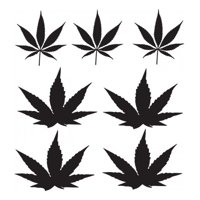Rienda Libre Graphics - Decomural Weed Cannabis Set Ws-33341