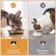 thumbnail image 3 of Cuencos de acero inoxidable para gatos Wellbro, aptos para bigotes, 350 ml, 2 unidades, 3 of 6