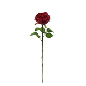 Green Element - Rosa Roja 65 Cms
