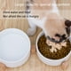 thumbnail image 5 of Cuencos para mascotas, juego de cuencos de cerámica para perros y gatos con soporte de madera para comida y agua, cuencos antideslizantes y bonitos para mascotas., 5 of 6