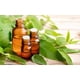 thumbnail image 2 of Esencias Aromáticas Para Jabones, Cremas, Difusor, Otros 30 Ml Eucalipto, 2 of 2