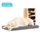 thumbnail image 5 of Cama ortopédica Barkbox para perros, espuma viscoelástica, grande, gris, 5 of 6