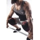 thumbnail image 5 of Rodilleras Iron Bull Strength de neopreno de 7 mm para hombres y mujeres, 5 of 5