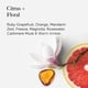 thumbnail image 3 of Aceite Perfumado Crush Con Feromonas 15 Ml, 3 of 8