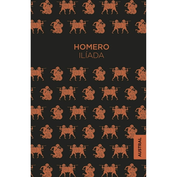 Libro Ilíada