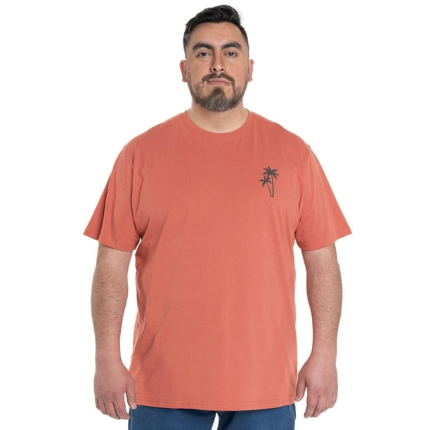 Polera Hombre Print Espalda Cuello Redondo Mini Logo
