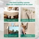 thumbnail image 4 of Lona protectora de lona Avalon Home 274x366 cm, paquete de 2, 8 oz, 4 of 8
