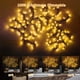 thumbnail image 3 of Luzes encantadas de la vid de sauce para la pared: luz de rama de árbol centelleante para la decoración del hogar de la sala de estar y el dormitorio - luces de árbol centelleante blancas cá, 3 of 3