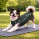 thumbnail image 4 of Playera tipo tank top para perro Pet Life Active Racerbark para fitness, 4 of 9