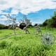 thumbnail image 2 of 1pc, Yard Flower Fairy Metal Crafts Fairy Yard Decoration Grass Decoration Holiday Decoration Gift, 2 of 2