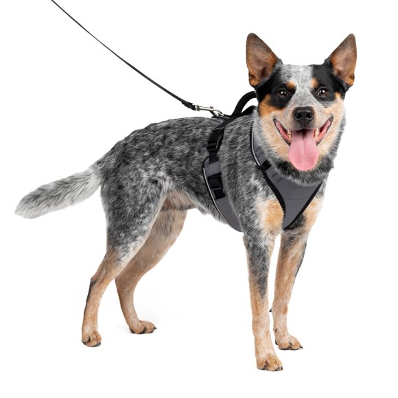 Arnés para perros PetSafe EasySport acolchado, ajustable, tamaño mediano