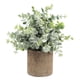 thumbnail image 3 of Planta Suculenta Artificial Falsa En Maceta Mini Plantas En Maceta Decoración De Jardín Para El Hogar Eucalipto, 3 of 5