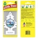 thumbnail image 3 of Ambientador LITTLE TREES Car True North Scent 24 unidades, 3 of 8