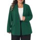 thumbnail image 1 of Agnes Orinda Chaqueta de Traje Casual de Negocios para Mujer Tallas Grandes con Solapa y Botón de Manga Larga 4X Verde Oscuro, 1 of 8
