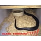 thumbnail image 3 of Juguete de goma con forma de serpiente COTOSEY, 53 cm, realista, falsa para bromas, 3 of 9
