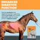thumbnail image 2 of Suplemento para Caballos Equerry's 2,3 kg de Probióticos y Biotina, 2 of 7