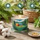 thumbnail image 3 of Vela de Citronela DL DREAMY DEWLA de 2,2 oz (65 ml), pack de 3, 3 of 3