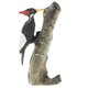 thumbnail image 5 of Pájaro de plástico modelo estatuilla figura de acción ni?os juguete regalo ornamento carpintero, 5 of 5