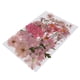 thumbnail image 3 of 36/37/38/39/42 Unid Natural Real Presionado Flores Secas DIY Scrapbook Rosa, 3 of 7