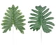 thumbnail image 5 of suxuMhao Hojas de Calathea Artificiales con Rayas Amarillas 30 Pzas,17 X 5.1in Plantas Falsas Realistas Plantas Falsas,Plantas Artificiales de Plástico para Exterior,Hojas Verdes para Paisaje de, 5 of 5
