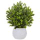 thumbnail image 1 of Planta artificial de madera de boj casi natural de hoja perenne con jarrón blanco, 1 of 5