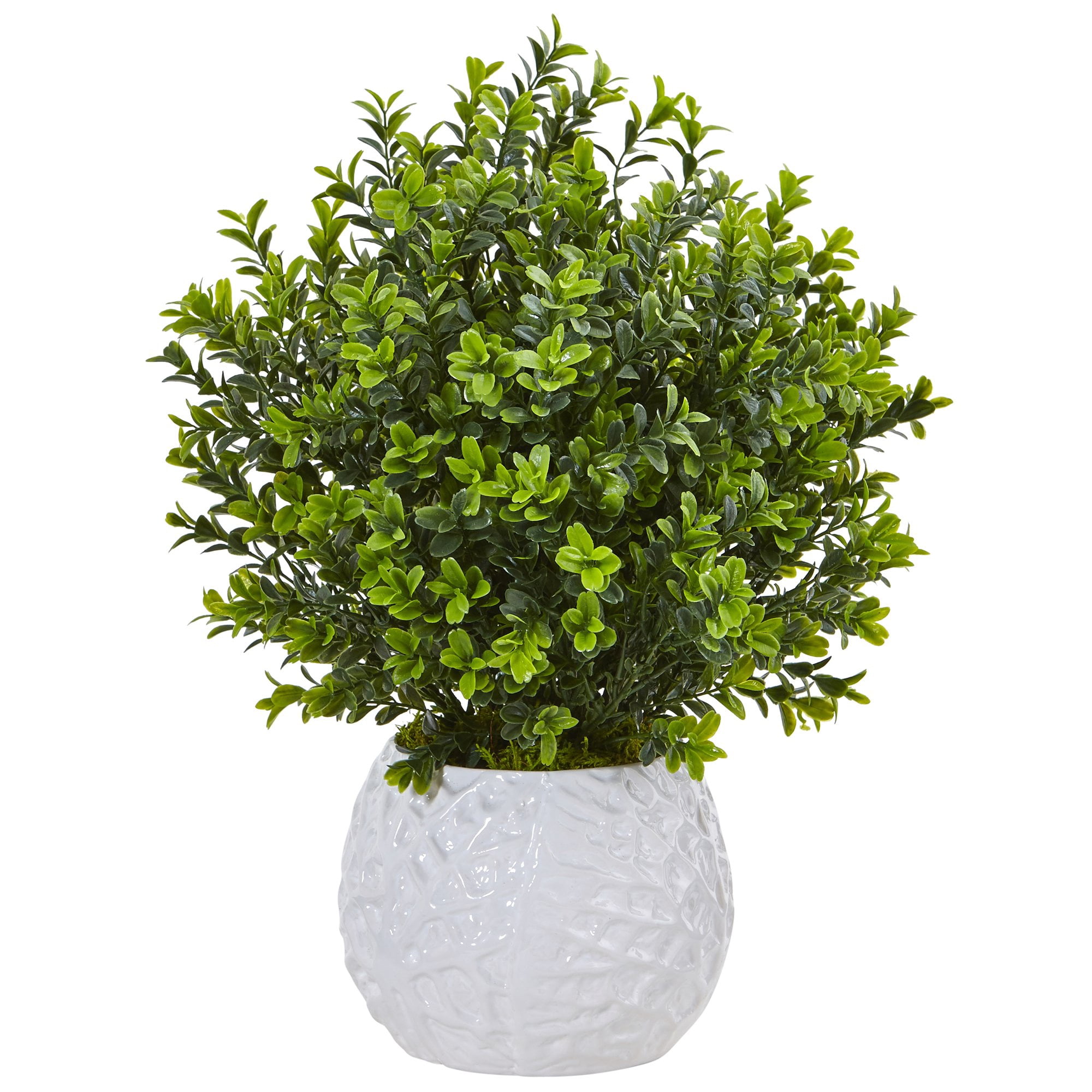 Nearly Natural - Planta Artificial De Madera De Boj Casi Natural De Hoja Perenne Con Jarrón Blanco