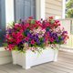 thumbnail image 2 of Flores artificiales AXYLEX, 16 ramos, resistentes a los rayos UV, 36 cm, 2 of 9