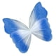 thumbnail image 5 of Mariposa Artificial Gigante Decorativa Para Fotos, Ideal Para Bodas, Interiores Y Exteriores, Con Degradado Azul Oscuro., 5 of 5