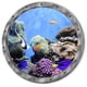 thumbnail image 1 of Cute 3D Sea Turtle Wall Decal for Bathroom, Glass Door, Bathtub, Washer, Nursery, Bedroom, Kids Room - Cartoon Animal Vinyl Sticker for Fun and Decorative Touch, 1 of 5