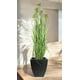 thumbnail image 3 of Planta Decorativa Pasto Con Papiro 180Cm, 3 of 3