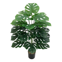 Genérico - Planta Artificial Árbol Tortuga Verde