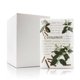 thumbnail image 1 of Fragancia perfumada con textura de bolsita para cajones y armarios (12 unidades), 1 of 5