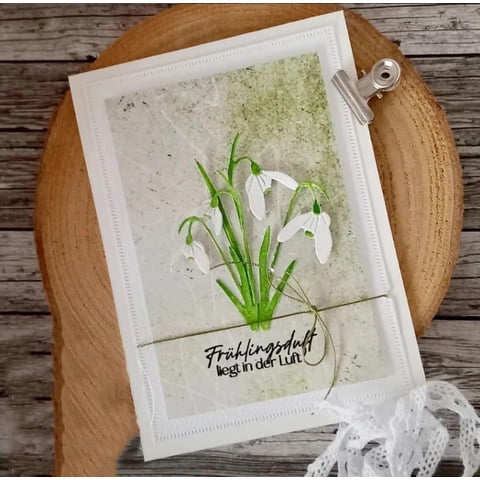 Troquel De Corte De Metal Lapoo Herbal A Para Álbumes De Recortes, 7 X 6 Cm