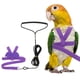 thumbnail image 1 of Arnés y Correa para Aves Uxcell, Arnés y Correa para Loros con Ala Bonita para Loros (Púrpura, XS), 1 of 7