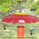 thumbnail image 5 of Alimentador de colibrí andergi cubierta de lluvia de 34 cm con protección contra ardillas, 5 of 6