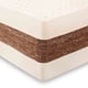 thumbnail image 4 of Cama Europea Cocopedic 2 Plaza Base Dividida, 4 of 10