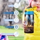 thumbnail image 5 of Botella de Agua Infantil Desmarcar Dragón Azul 350 ml, 5 of 6