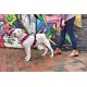 thumbnail image 2 of Arnés para perros PetSafe EasySport ajustable, acolchado, grande, rosa, 2 of 2