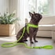 thumbnail image 5 of Correa De Paseo Petlounge Easy Glam Mascotas Perros 1.5m verde, 5 of 9