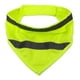 thumbnail image 3 of Bandana Reflectante Para Perros Y Gatos. Pañoleta De Mascota verde, 3 of 5